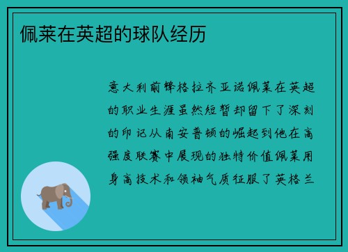 佩莱在英超的球队经历
